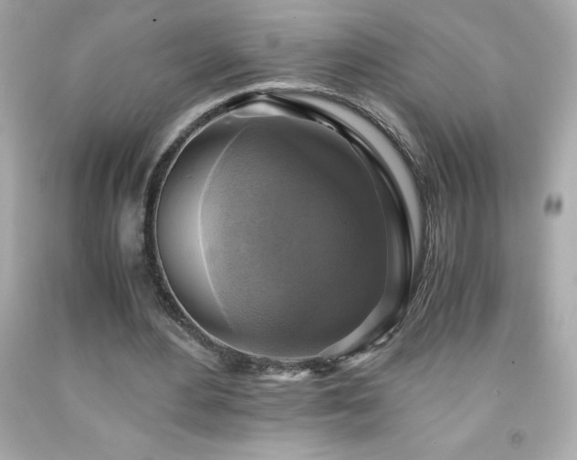 X0000091920484200709121541