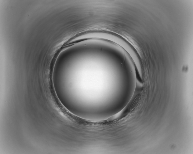 X0000091920485200709121541