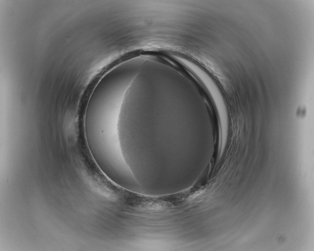 X0000091920488200709121541