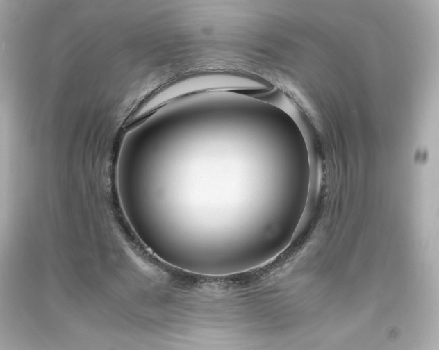 X0000091920489200709121541