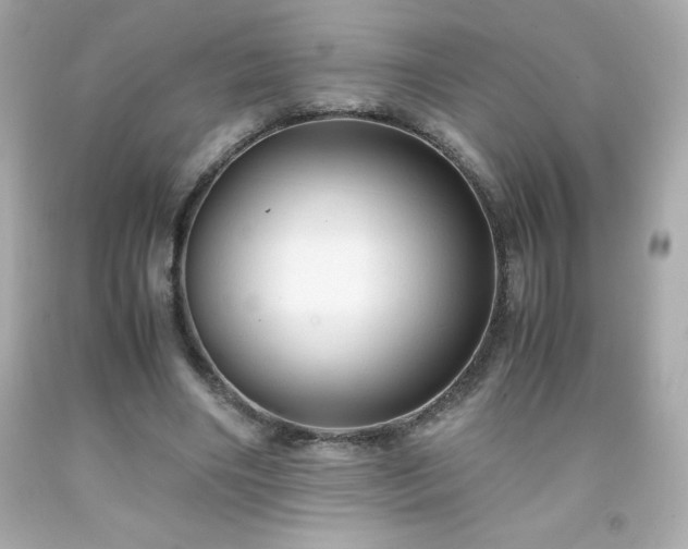 X0000091920490200709121541