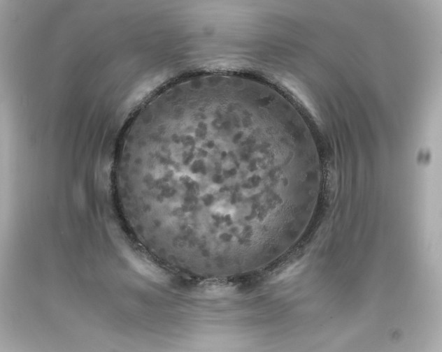 X0000091920491200709121541