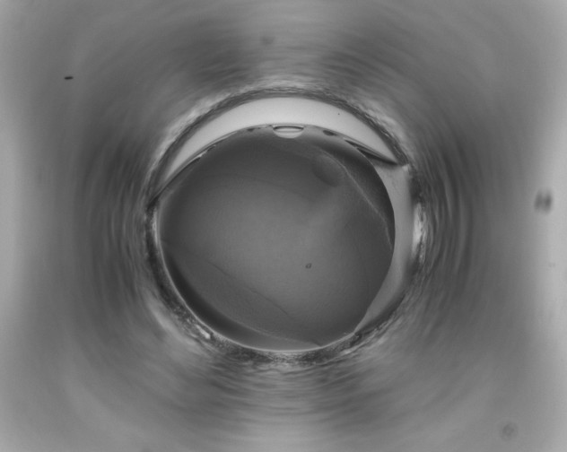 X0000091920492200709121541