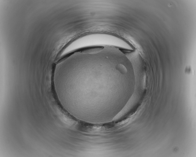X0000091920493200709121541