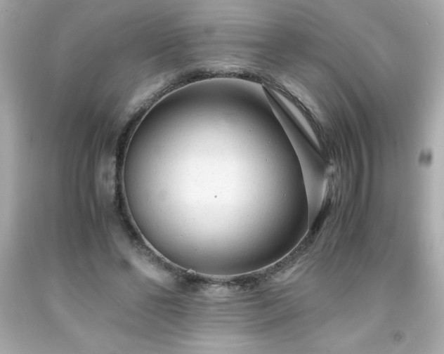 X0000091920494200709121541
