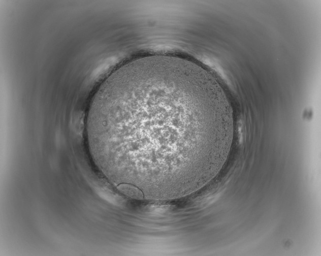 X0000091920495200709121541