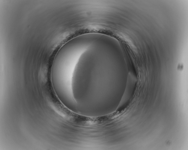 X0000091920496200709121541