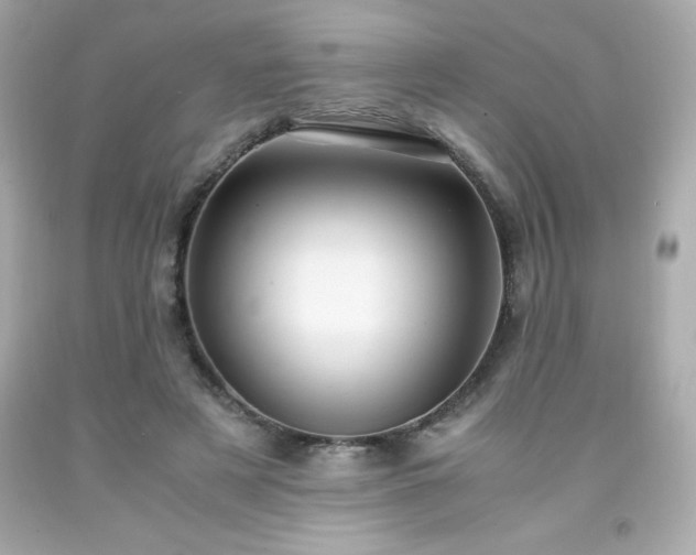 X0000091920497200709121541