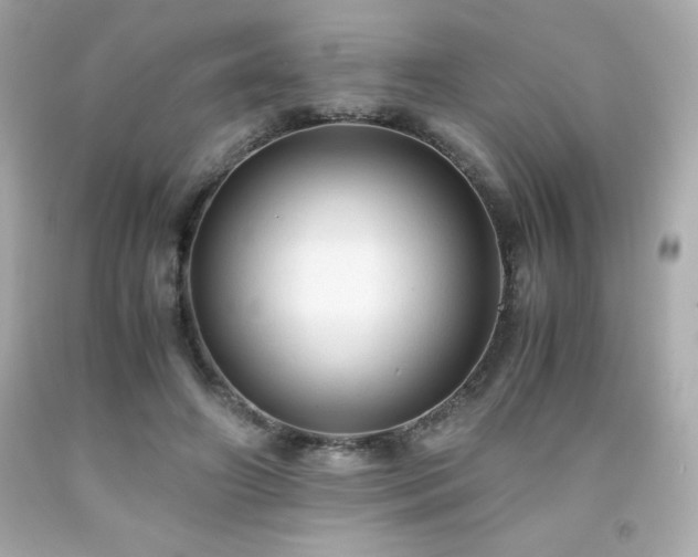 X0000091920498200709121541