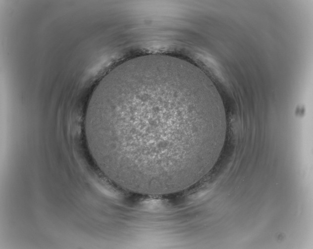 X0000091920499200709121541