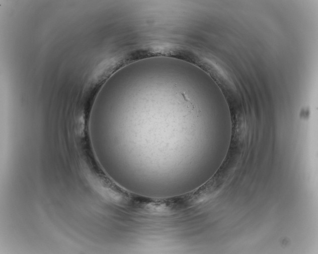 X0000091920502200709121541