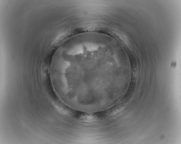 X0000091920503200709121541