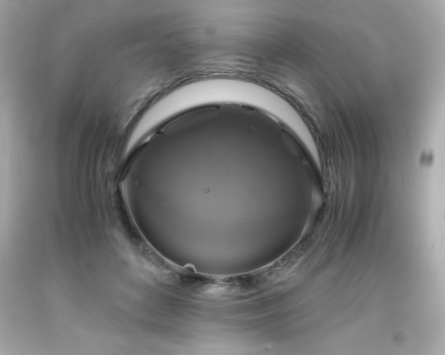 X0000091920504200709121541