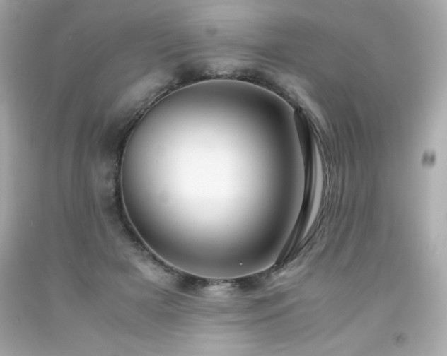 X0000091920505200709121541