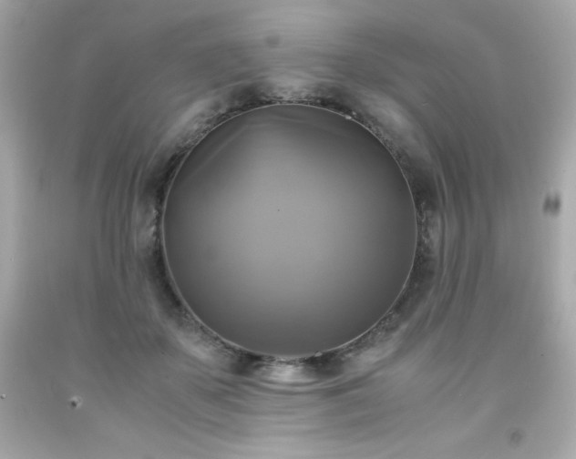 X0000091920507200709121541