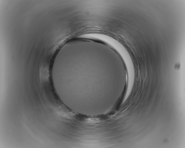 X0000091920508200709121541