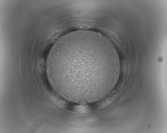 X0000091920511200709121541