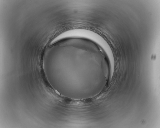 X0000091920512200709121541