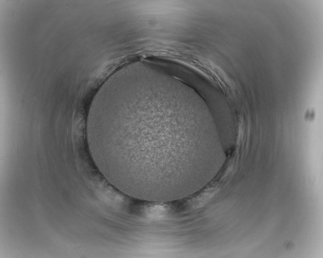 X0000091920513200709121541