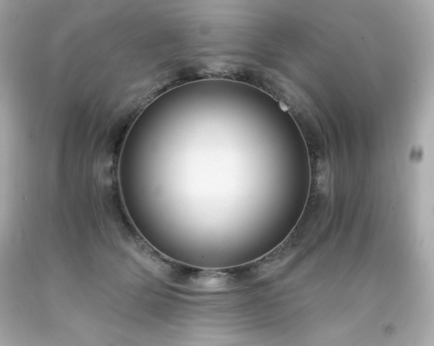 X0000091920514200709121541