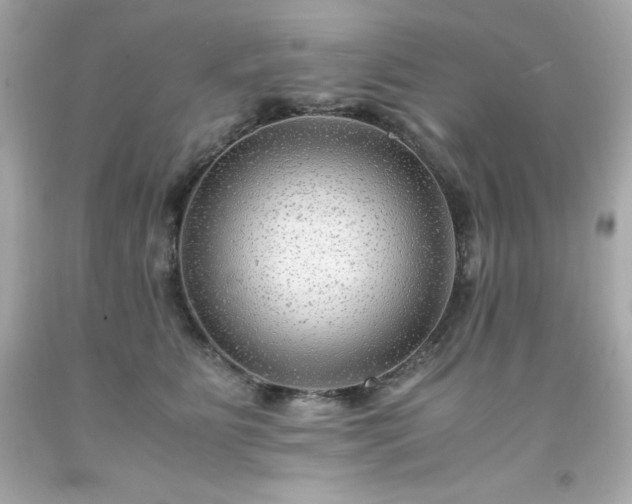 X0000091920515200709121541