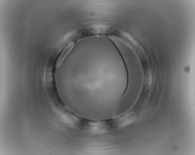 X0000091920516200709121541