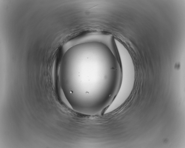 X0000091920517200709121541