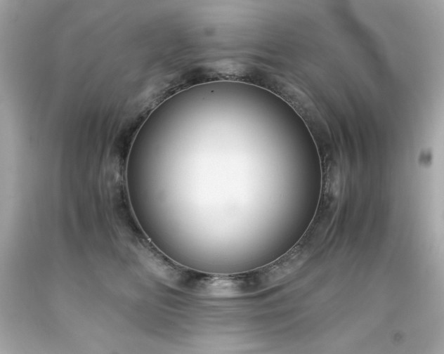 X0000091920518200709121541
