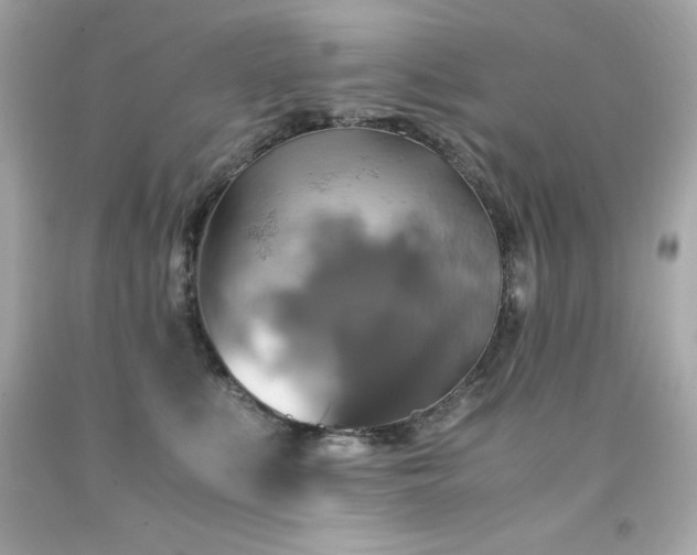 X0000091920519200709121541