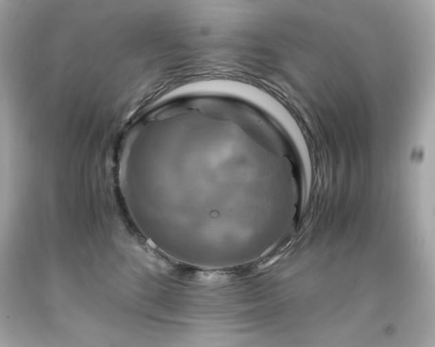 X0000091920520200709121541