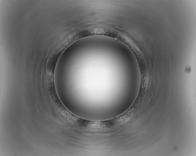 X0000091920521200709121541