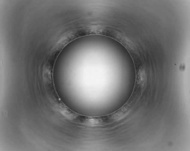X0000091920522200709121541
