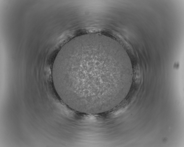 X0000091920523200709121541