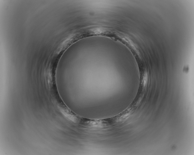 X0000091920524200709121541