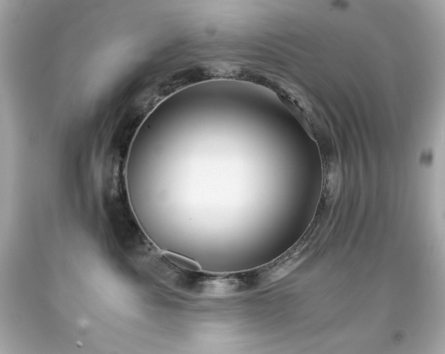 X0000091920525200709121541