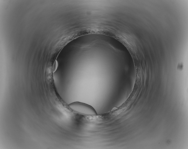 X0000091920526200709121541