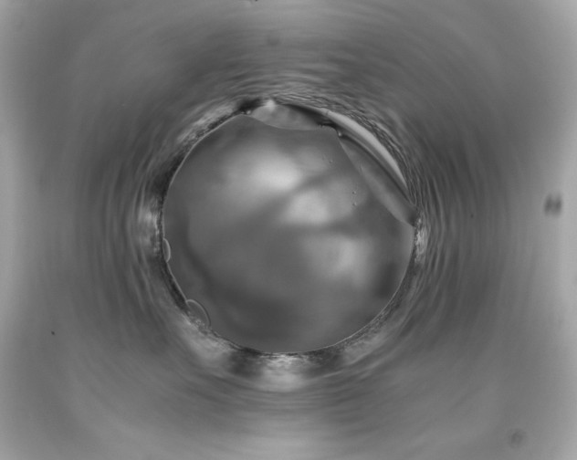 X0000091920527200709121541
