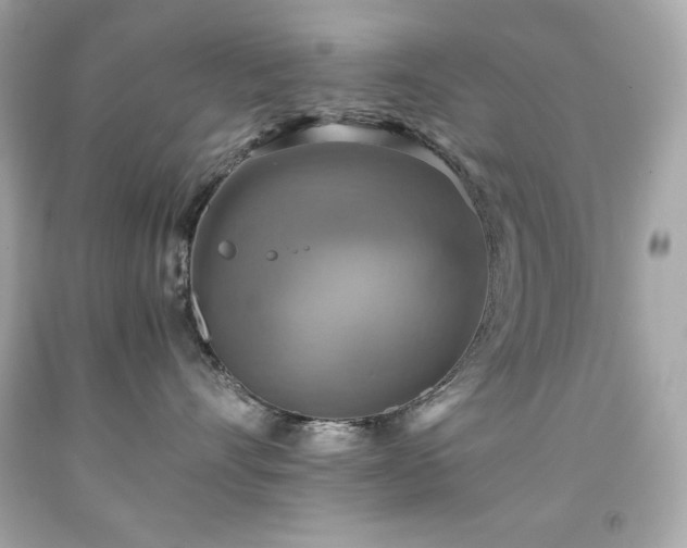 X0000091920528200709121541