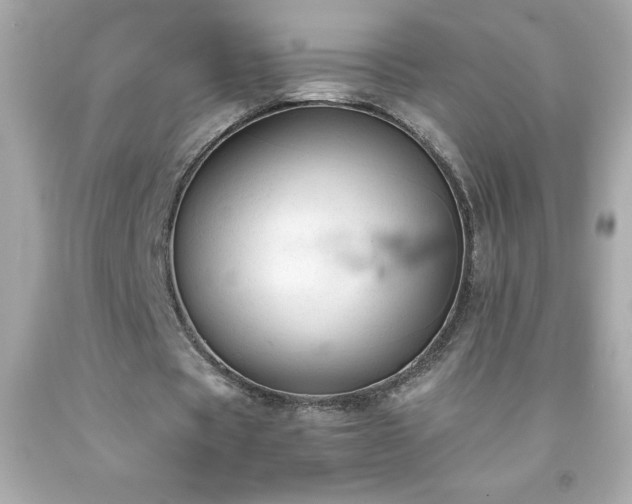 X0000091920529200709121540