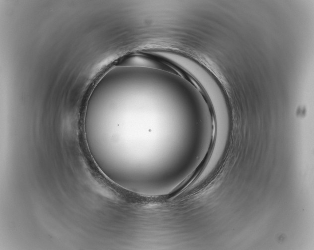 X0000091920530200709121540