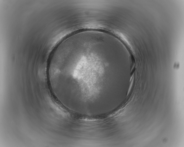 X0000091920531200709121540
