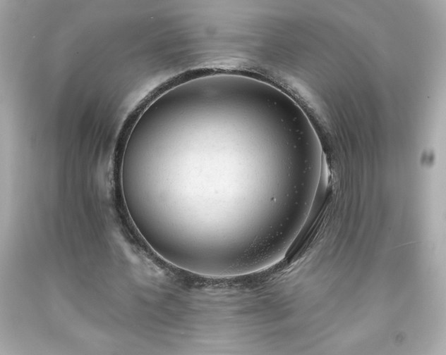 X0000091920532200709121540