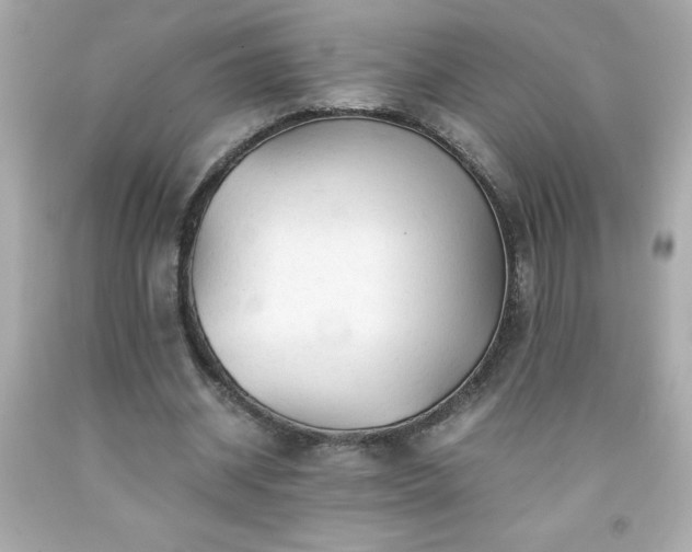 X0000091920534200709121540