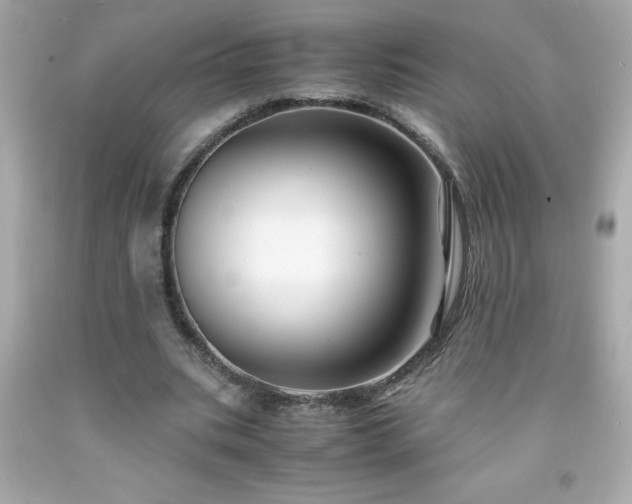 X0000091920535200709121540