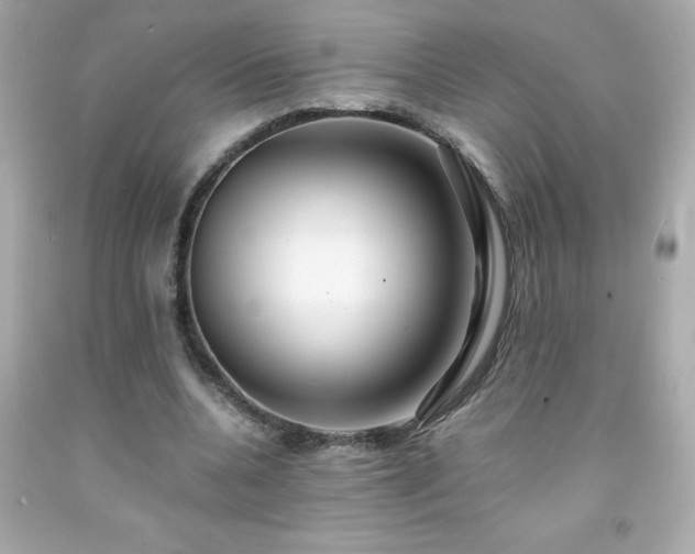 X0000091920536200709121540