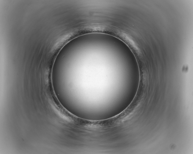 X0000091920537200709121540