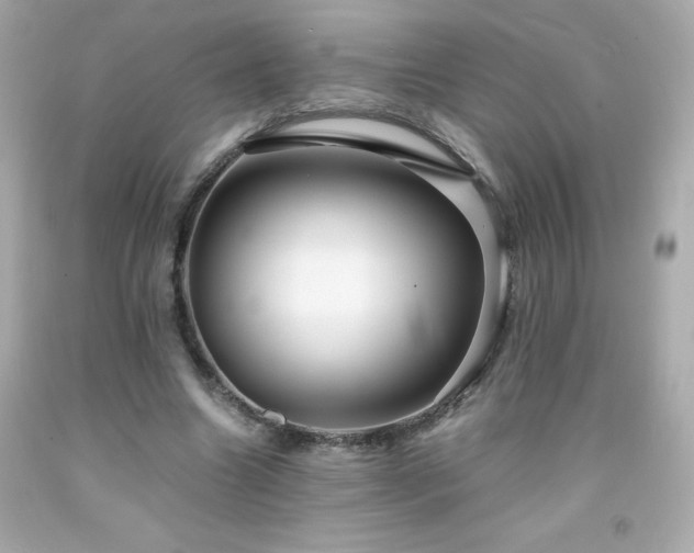 X0000091920538200709121540