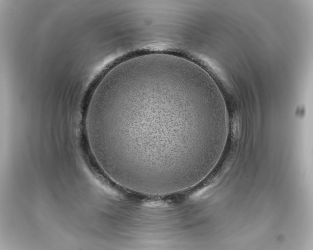 X0000091920540200709121540