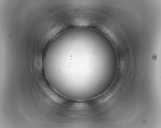 X0000091920541200709121540