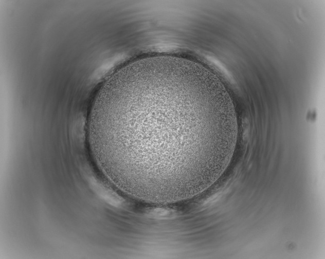 X0000091920542200709121540